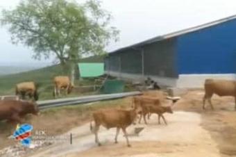 Ferme  Malulu 123 hectares 7.380.000
